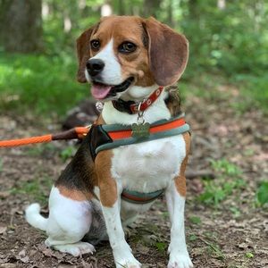 Meet your Posher, Sam